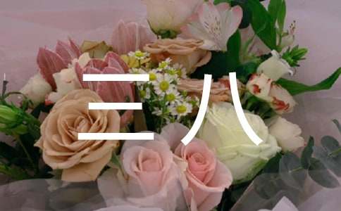 ���˵�ο���źϼ�8ƪ