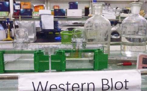 ����ҌW(xu��)������(x��)���