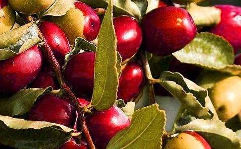 ˮ���ϻ��ͬ����