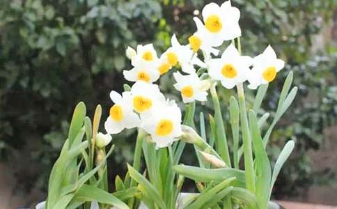 ��֦ˮ�ɻ�ӆُ(g��u)��ͬ