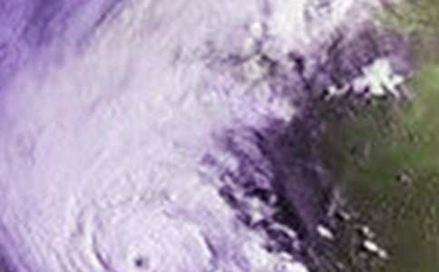 ���_�L�������Y(ji��)12ƪ