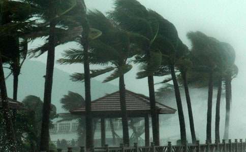 ���_�L(f��ng)�������Y(ji��)����(15ƪ)