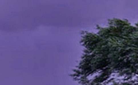 ���_�L(f��ng)�������Y(ji��)(��(j��ng)��15ƪ)