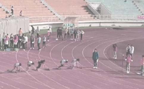 �Ӗ���������Y