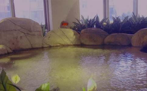 ��Ȫˮ��վ�������Y(ji��)