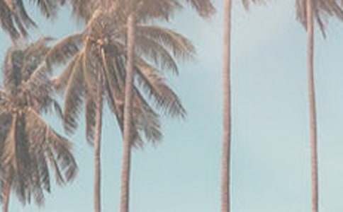 �ļ�����ع������Y(ji��)