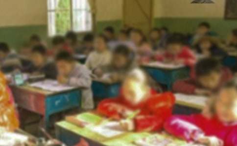 �l(xi��ng)��С�W(xu��)�̌�(d��o)�����������(b��o)��