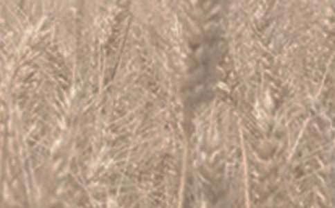 ��(y��u)�|(zh��)С���I�u��ͬ