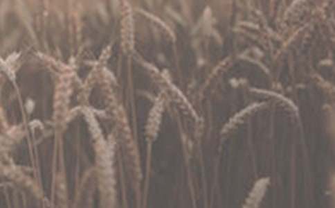 С�����a(ch��n)���g(sh��)���Y(ji��)�����x8ƪ��