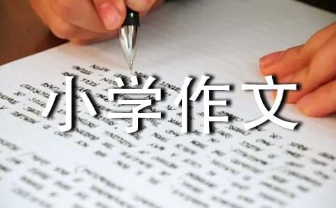 ��P(y��ng)С�W(xu��)����