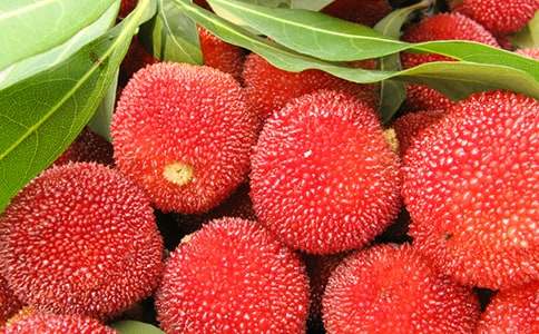 ��÷�Nֲ��ُ(g��u)��ͬ 2ƪ