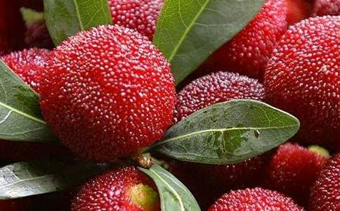 ��(y��u)�|(zh��)��Ч��÷���ؽ��O(sh��)�������Y(ji��)