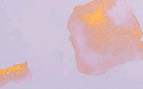 ��Wˇ�g�F��Ӳ߄���