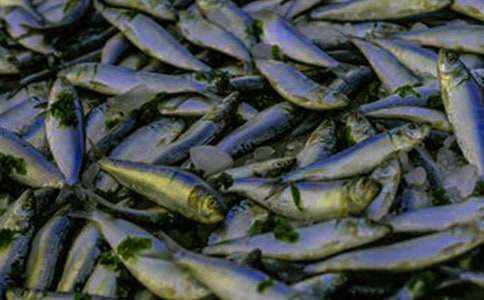 �~��ُ�N��ͬ