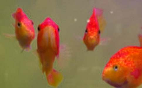 ���~��ُ�N��ͬ