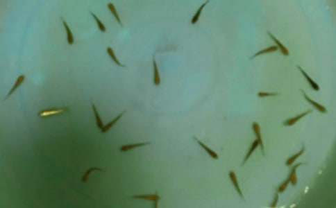 ���~(y��)��ُ(g��u)�N(xi��o)��ͬ����