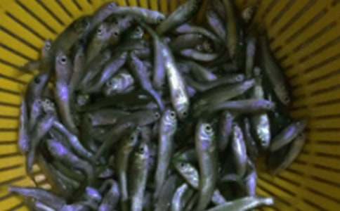 �~��ُ�N��ͬͨ��15ƪ