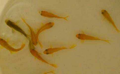 �~��ُ�N��ͬ(15ƪ)