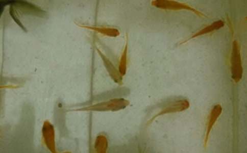 �~��ُ(g��u)�N��ͬ