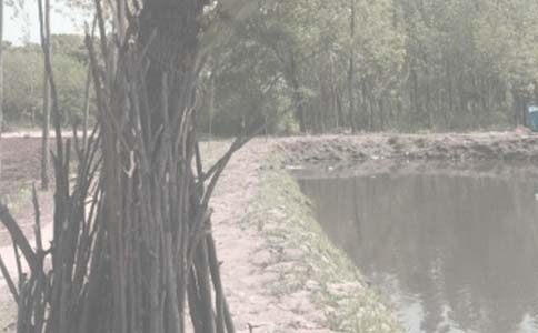 �~���B(y��ng)ֳ�а���ͬ����