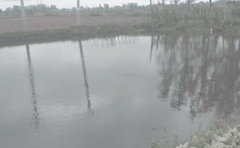 �~���а���ͬ����