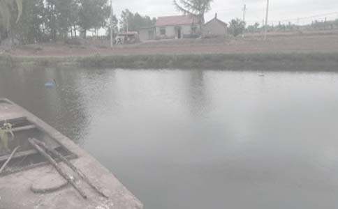 �~(y��)���D(zhu��n)���ĺ�ͬ(��(y��u)��5ƪ)