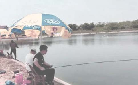 �~���B(y��ng)ֳ�а���ͬ