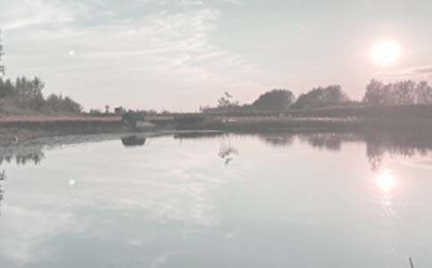 �~���а���ͬ��15ƪ(��)