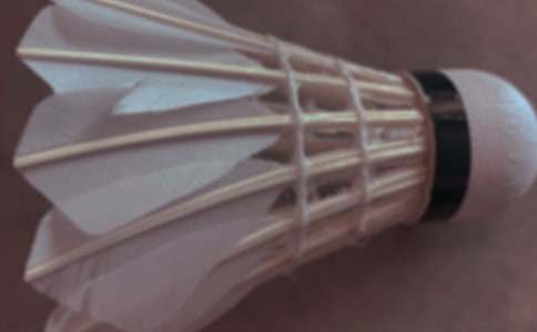 [��]��ë����^���U��ͬ2ƪ