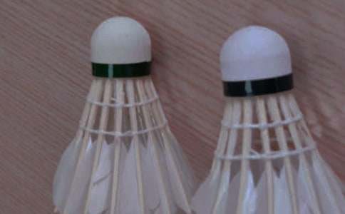 ��ë���ِ���Y(ji��)(����15ƪ)