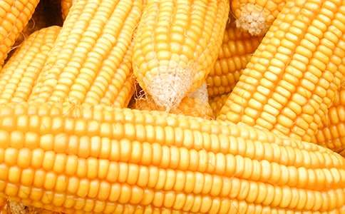 ��ُ(g��u)���׺�ͬ����2ƪ���ᣩ