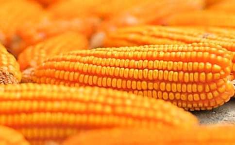 �������a(ch��n)��ͬ����