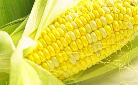 ����ُ(g��u)�N��ͬ[����4ƪ]