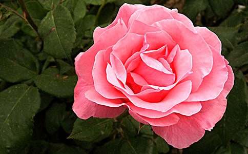 ����վ�¼��ȹ������Y(ji��)