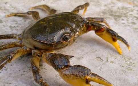 �з��ُ(g��u)��ͬ����