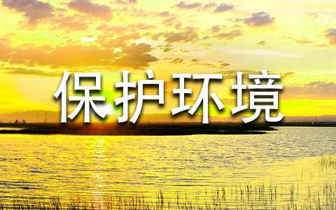 С�W(xu��)���o(h��)�h(hu��n)�����h��