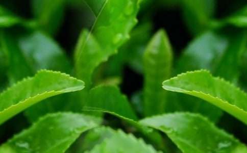 ُ���~��ͬ