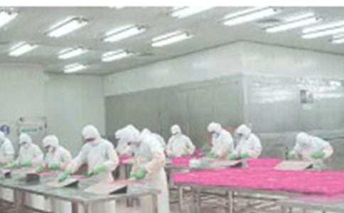 ܇�g��ȫ���Z��(sh��)(15ƪ)