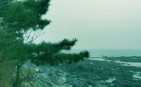 �����L(f��ng)�Єӹ������Y(ji��)11ƪ