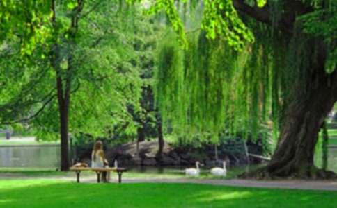 ���o���@�������