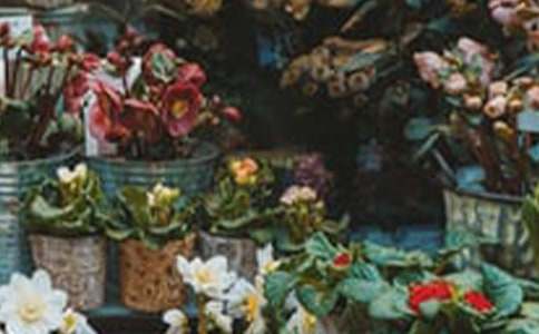 520������(d��ng)�߄����������x8ƪ��