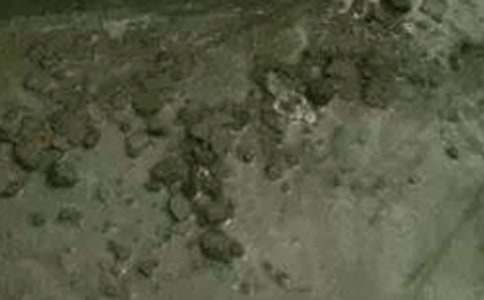 ���P(gu��n)�������|(zh��)�����Z��3ƪ