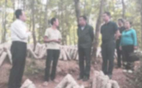 �o(j��)�z���������Y(ji��)