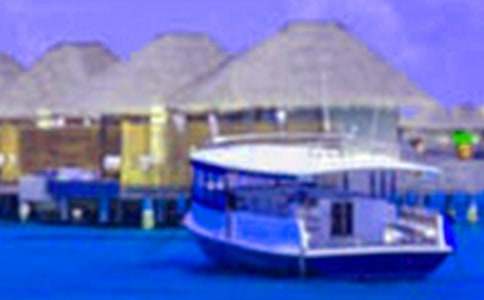 ���ڌ�(sh��)��(x��)��(b��o)�惞(y��u)��