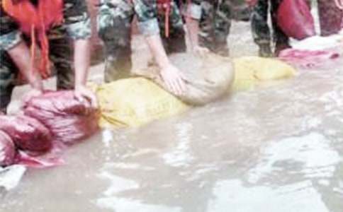 ��Ѵ���鹤�����Y(ji��)���\15ƪ