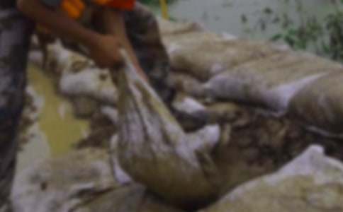 ����Ȟ�(z��i)�������Y(ji��)(8ƪ)