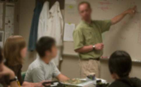 �����A���ώ��ı�P(y��ng)����ƪ