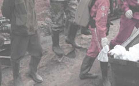 ú�V��ȫ���Z��(sh��)������15ƪ��