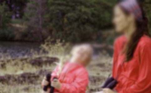 ���oĸ�H�ĸ��x��(15ƪ)