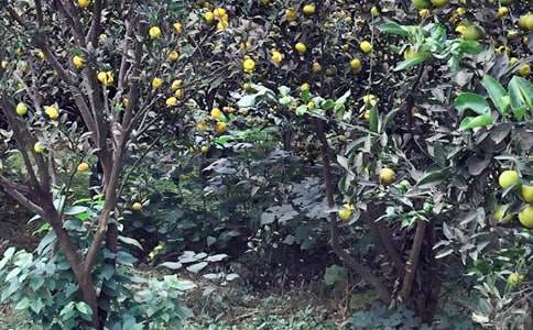 �r(n��ng)�Ҙ���Ӳ߄�����